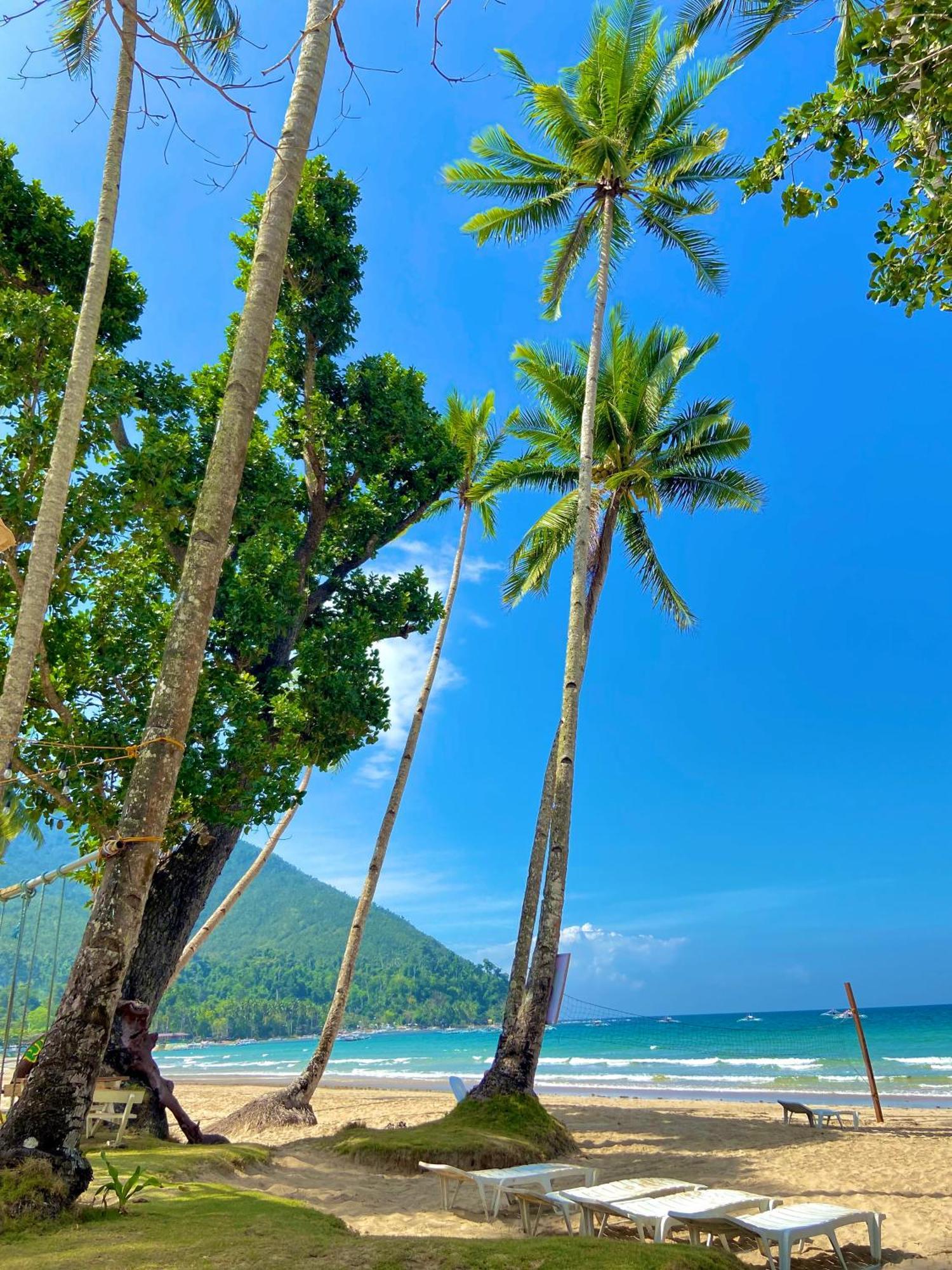 Hill Myna Beach Cottages Sabang (Palawan) Exterior foto